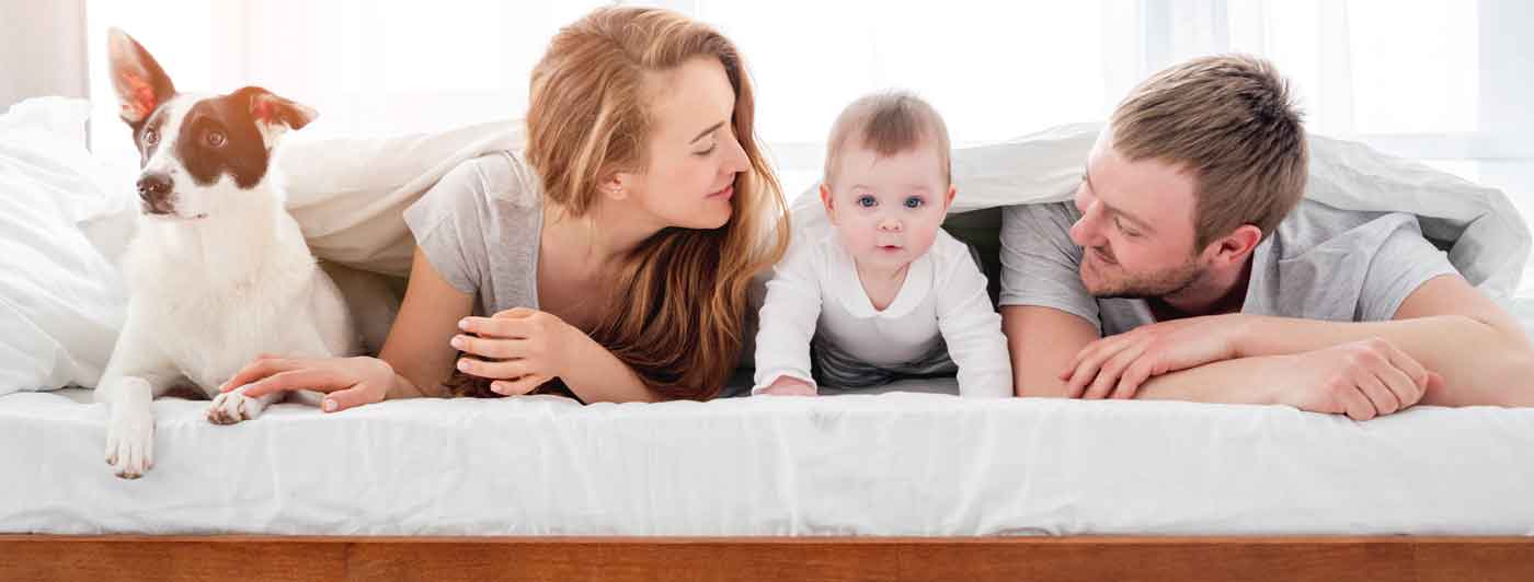 Family laying down on a bed with child and dog enjoying a comfortable home after receiving top home services and energy efficient HVAC and insulation